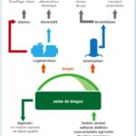 Production biométhane