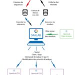 Principe de fonctionnement SRA Lab